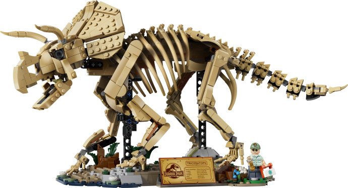 Dinosauří fosilie: Triceratops