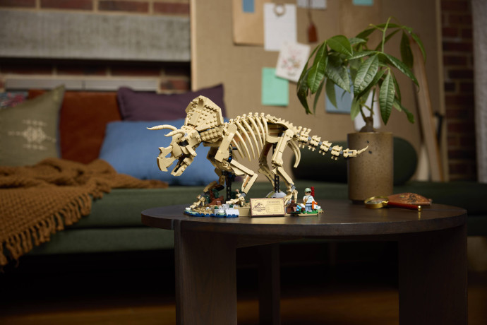 Dinosaurie fosílie: Triceratops
