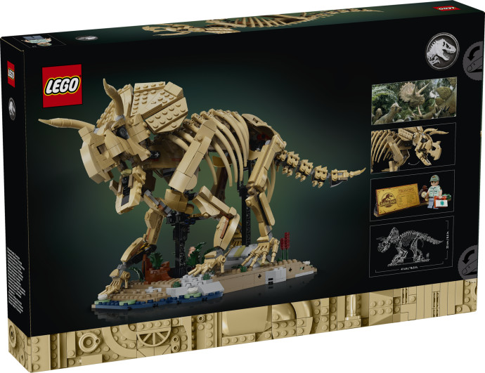 Dinosaurie fosílie: Triceratops