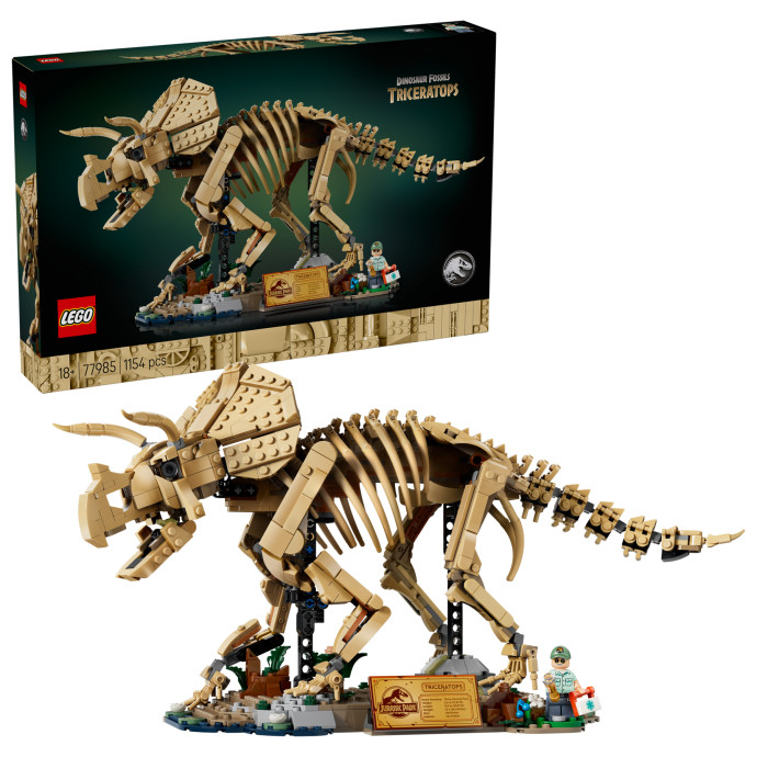 Dinosaurie fosílie: Triceratops