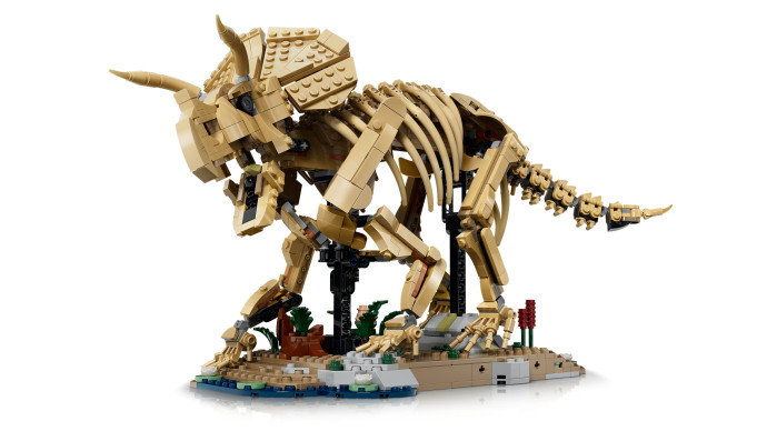 Dinosaurie fosílie: Triceratops