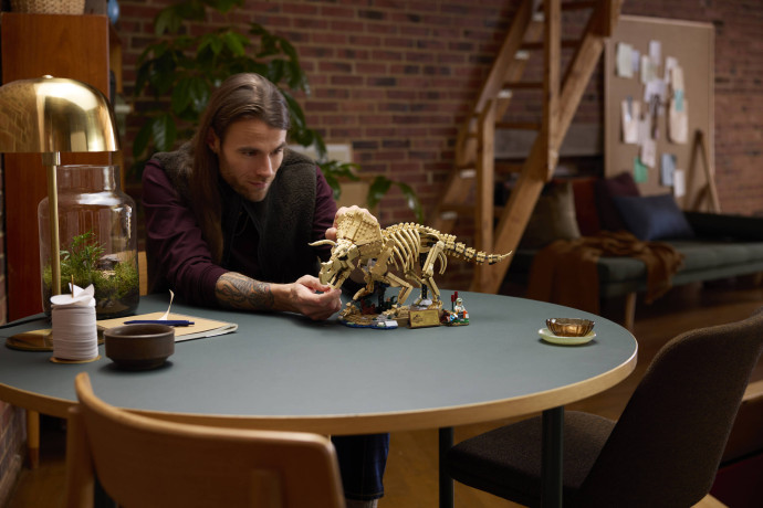 Dinosaurie fosílie: Triceratops