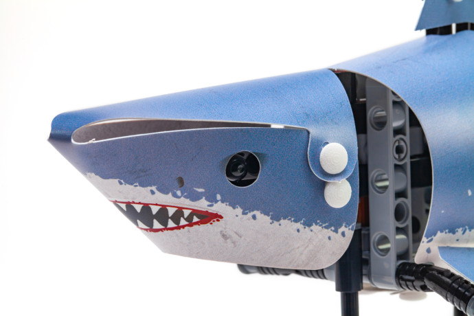 Shark Skin