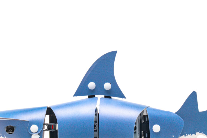 Shark Skin
