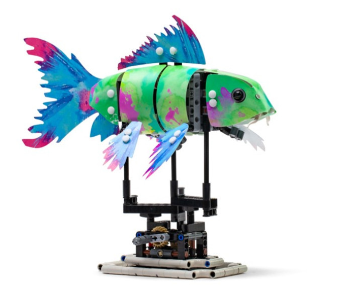 Splash Koi Skin