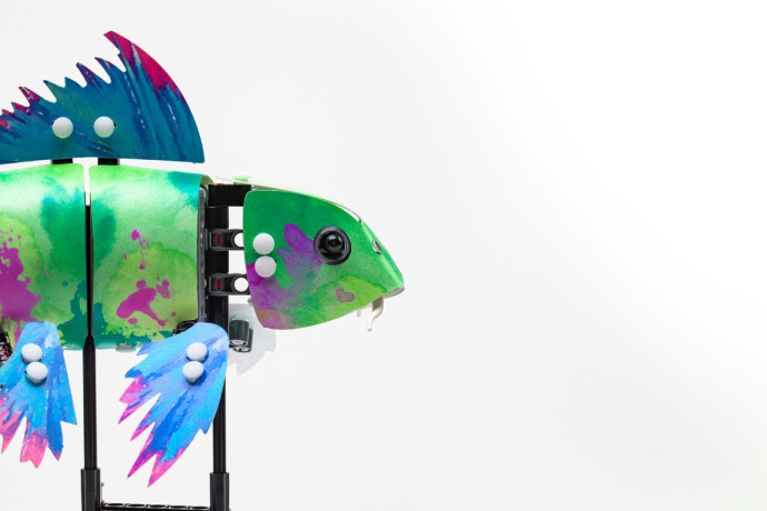 Splash Koi Skin