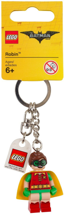 Robin Key Chain