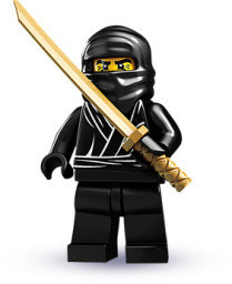 Bojovník ninja