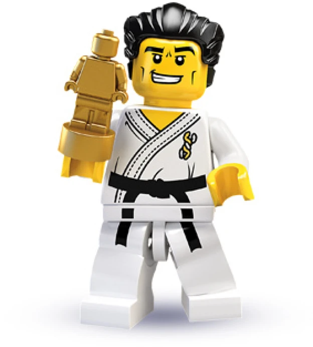 LEGO 8684-14 Mistr karate