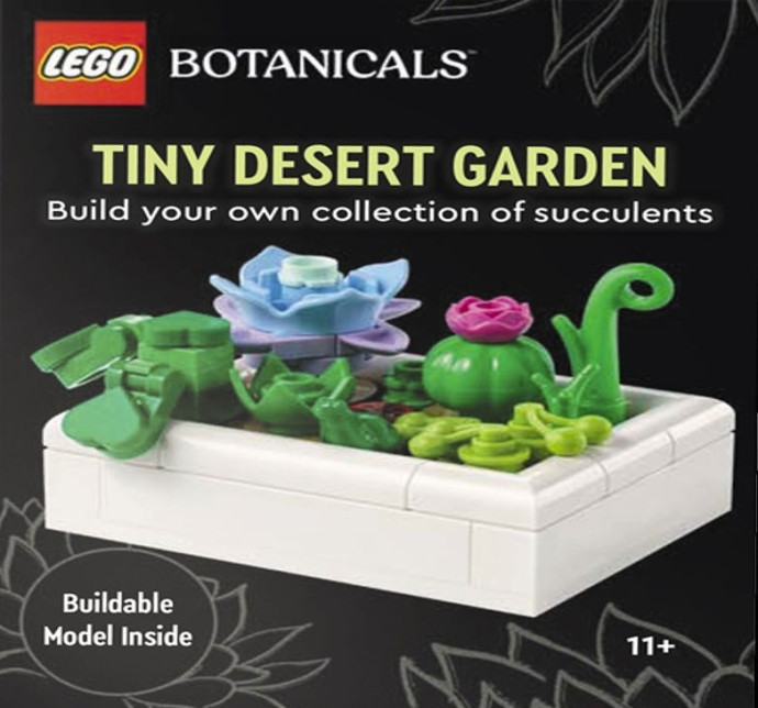 Tiny Desert Garden