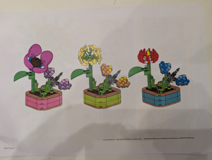 Butterfly Garden