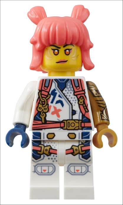 LEGO NINJAGO: Dragons Rising Character Guide