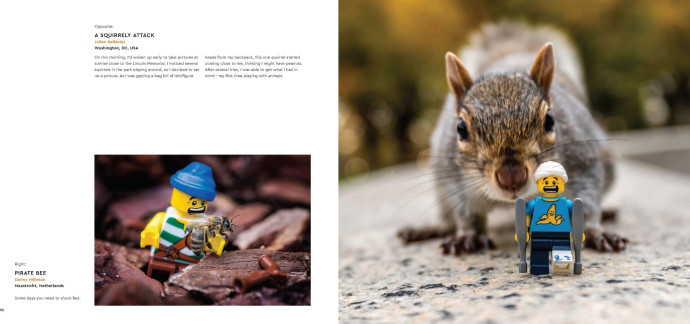 LEGO in Focus: Explore the Miniature World of LEGO Photography