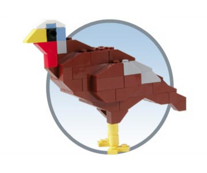 {Wild Turkey}